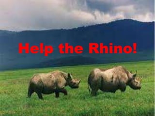 Help the Rhino!
 