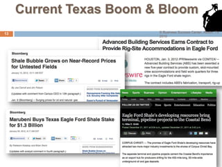Current Texas Boom & Bloom
13                       © Business Success Center, Austin, TX
                         2010
 