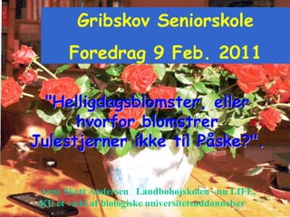 &quot;Helligdagsblomster, eller hvorfor blomstrer Julestjerner ikke til Påske?&quot;.   Gribskov Seniorskole Foredrag 9 Feb. 2011 