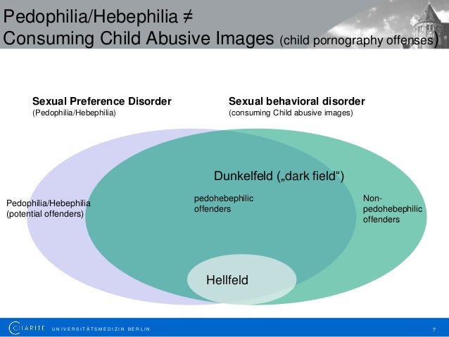 Gerold Scherner Insights of the Preventive Project Dunkelfeld