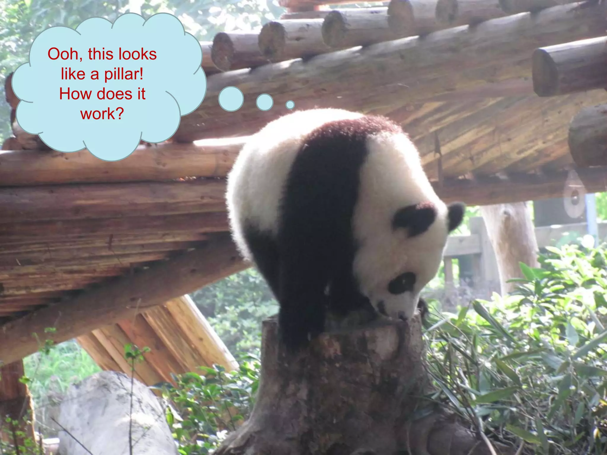 Ooh, this looks
 like a pillar!
 How does it
    work?
 