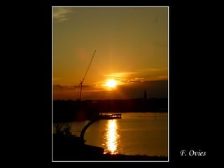 F. Ovies 
