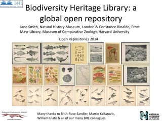 Biodiversity Heritage Library: a
global open repository
Many thanks to Trish-Rose Sandler, Martin Kalfatovic,
William Ulate & all of our many BHL colleagues
Jane Smith, Natural History Museum, London & Constance Rinaldo, Ernst
Mayr Library, Museum of Comparative Zoology, Harvard University
Open Repositories 2014
 