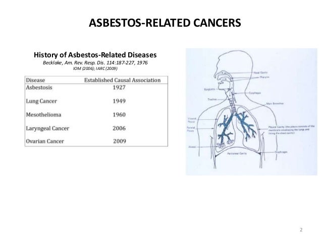 Image Result For Asbestos Related Diseases Image Result For Asbestos Related Diseases