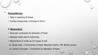 Physiology Of the Heart