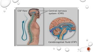 Clinical laboratory technology - Cerebrospinal Fluid | PDF