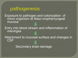 Exposure to pathogen and colonization of
micro organism at Naso oropharnyngeal
mucosa
Entry into blood stream and inflammation of
meninges
Attachment to mucosal surface and changes in
CSF
Secondary brain damage
 
