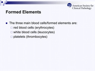 Formed Elements
 The three main blood cells/formed elements are:
 red blood cells (erythrocytes)
 white blood cells (leucocytes)
 platelets (thrombocytes)
 