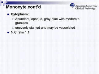 Monocyte cont’d
 Cytoplasm:
 Abundant, opaque, gray-blue with moderate
granules
 unevenly stained and may be vacuolated
 N:C ratio 1:1
 