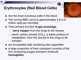 Erythrocytes (Red Blood Cells)
 Are the most numerous cells in the blood
 The normal RBC count is approximately 4.5 to 6
million cells per microliter.
 Their primary function is gas exchange.
 carry oxygen from the lungs to the tissues
 return carbon dioxide (CO2), a waste product of
metabolism, from the tissues to the lungs to be
exhaled
 are anucleated cells containing few organelles
 a large proportion of their cytoplasm consists of the
iron containing oxygen transport molecule
hemoglobin.
 