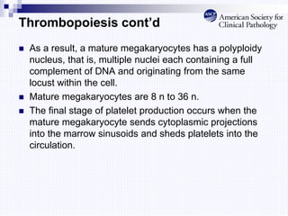 Thrombopoiesis cont’d
 As a result, a mature megakaryocytes has a polyploidy
nucleus, that is, multiple nuclei each containing a full
complement of DNA and originating from the same
locust within the cell.
 Mature megakaryocytes are 8 n to 36 n.
 The final stage of platelet production occurs when the
mature megakaryocyte sends cytoplasmic projections
into the marrow sinusoids and sheds platelets into the
circulation.
 