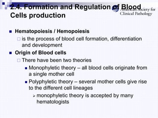 2.4. Formation and Regulation of Blood
Cells production
 Hematopoiesis / Hemopoiesis
 is the process of blood cell formation, differentiation
and development
 Origin of Blood cells
 There have been two theories
 Monophyletic theory – all blood cells originate from
a single mother cell
 Polyphyletic theory – several mother cells give rise
to the different cell lineages
 monophyletic theory is accepted by many
hematologists
 