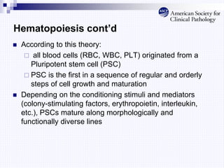 Hematopoiesis cont’d
 According to this theory:
 all blood cells (RBC, WBC, PLT) originated from a
Pluripotent stem cell (PSC)
 PSC is the first in a sequence of regular and orderly
steps of cell growth and maturation
 Depending on the conditioning stimuli and mediators
(colony-stimulating factors, erythropoietin, interleukin,
etc.), PSCs mature along morphologically and
functionally diverse lines
 