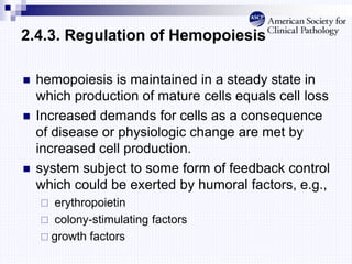2.4.3. Regulation of Hemopoiesis
 hemopoiesis is maintained in a steady state in
which production of mature cells equals cell loss
 Increased demands for cells as a consequence
of disease or physiologic change are met by
increased cell production.
 system subject to some form of feedback control
which could be exerted by humoral factors, e.g.,
 erythropoietin
 colony-stimulating factors
 growth factors
 