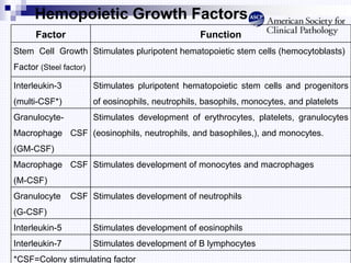 Hemopoietic Growth Factors
Factor Function
Stem Cell Growth
Factor (Steel factor)
Stimulates pluripotent hematopoietic stem cells (hemocytoblasts)
Interleukin-3
(multi-CSF*)
Stimulates pluripotent hematopoietic stem cells and progenitors
of eosinophils, neutrophils, basophils, monocytes, and platelets
Granulocyte-
Macrophage CSF
(GM-CSF)
Stimulates development of erythrocytes, platelets, granulocytes
(eosinophils, neutrophils, and basophiles,), and monocytes.
Macrophage CSF
(M-CSF)
Stimulates development of monocytes and macrophages
Granulocyte CSF
(G-CSF)
Stimulates development of neutrophils
Interleukin-5 Stimulates development of eosinophils
Interleukin-7 Stimulates development of B lymphocytes
*CSF=Colony stimulating factor
 