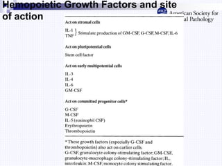 Hemopoietic Growth Factors and site
of action
 