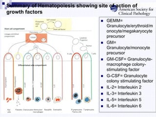 Summary of Hematopoiesis showing site of action of
growth factors
 GEMM=
Granulocyte/erythroid/m
onocyte/megakaryocyte
precursor
 GM=
Granulocyte/monocyte
precursor
 GM-CSF= Granulocyte-
macrophage colony-
stimulating factor
 G-CSF= Granulocyte
colony stimulating factor
 IL-2= Interleukin 2
 IL-3= Interleukin 3
 IL-5= Interleukin 5
 IL-6= Interleukin 6
 