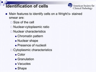 Identification of cells
 Main features to identify cells on a Wright’s- stained
smear are:
 Size of the cell
 Nuclear-cytoplasmic ratio
 Nuclear characteristics
 Chromatin pattern
 Nuclear shape
 Presence of nucleoli
 Cytoplasmic characteristics
 Color
 Granulation
 Vacuoles
 Shape
 