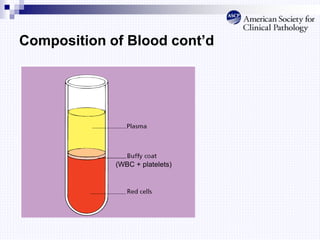 Composition of Blood cont’d
(WBC + platelets)
 