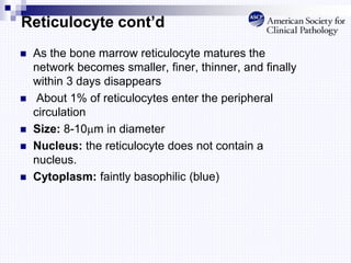 Reticulocyte cont’d
 As the bone marrow reticulocyte matures the
network becomes smaller, finer, thinner, and finally
within 3 days disappears
 About 1% of reticulocytes enter the peripheral
circulation
 Size: 8-10m in diameter
 Nucleus: the reticulocyte does not contain a
nucleus.
 Cytoplasm: faintly basophilic (blue)
 