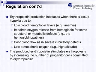 Regulation cont’d
 Erythropoietin production increases when there is tissue
hypoxia due to:
 Low blood hemoglobin levels (e.g., anemia)
 Impaired oxygen release from hemoglobin for some
structural or metabolic defects (e.g., the
hemoglobinopathies)
 Poor blood flow as in severe circulatory defects
 Low atmospheric oxygen (e.g., high altitude)
 The produced erythropoietin stimulates erythropoiesis
by increasing the number of progenitor cells committed
to erythropoiesis
 
