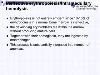 Ineffective erythropoiesis/Intramedullary
hemolysis
 Erythropoiesis is not entirely efficient since 10-15% of
eryhtropoiesis in a normal bone marrow is ineffective,
 the developing erythroblasts die within the marrow
without producing mature cells
 Together with their hemoglobin, they are ingested by
macrophages
 This process is substantially increased in a number of
anemias.
 