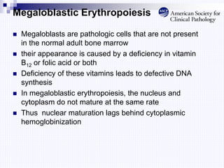Megaloblastic Erythropoiesis
 Megaloblasts are pathologic cells that are not present
in the normal adult bone marrow
 their appearance is caused by a deficiency in vitamin
B12 or folic acid or both
 Deficiency of these vitamins leads to defective DNA
synthesis
 In megaloblastic erythropoiesis, the nucleus and
cytoplasm do not mature at the same rate
 Thus nuclear maturation lags behind cytoplasmic
hemoglobinization
 