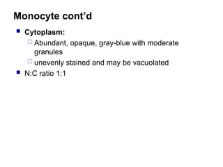 Monocyte cont’d
 Cytoplasm:
 Abundant, opaque, gray-blue with moderate
granules
 unevenly stained and may be vacuolated
 N:C ratio 1:1
 