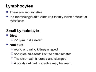 Lymphocytes
 There are two varieties
 the morphologic difference lies mainly in the amount of
cytoplasm
Small Lymphocyte
 Size:
 7-18m in diameter.
 Nucleus:
 round or oval to kidney shaped
 occupies nine tenths of the cell diameter
 The chromatin is dense and clumped
 A poorly defined nucleolus may be seen.
 