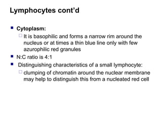 Lymphocytes cont’d
 Cytoplasm:
 It is basophilic and forms a narrow rim around the
nucleus or at times a thin blue line only with few
azurophilic red granules
 N:C ratio is 4:1
 Distinguishing characteristics of a small lymphocyte:
 clumping of chromatin around the nuclear membrane
may help to distinguish this from a nucleated red cell
 