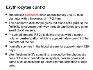 Erythrocytes cont’d
 shaped like biconcave disks approximately 7 to 8µ m in
diameter with a thickness of 1.7-2.4m
 The biconcave disk shape gives red blood cells (RBCs) the
flexibility to squeeze their way through capillaries and other
small blood vessels.
 In stained smears, RBCs look like a circle with a central
hole, or central pallor, which is approximately one-third the
diameter of the cell
 normally survives in the blood stream for approximately 120
days
 after finishing its life span, it is removed by the phagocytic
cells of the reticuloendothelial system, broken down and
some of its constituents re utilized for the formation of new
cells.
 