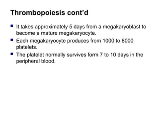 Thrombopoiesis cont’d
 It takes approximately 5 days from a megakaryoblast to
become a mature megakaryocyte.
 Each megakaryocyte produces from 1000 to 8000
platelets.
 The platelet normally survives form 7 to 10 days in the
peripheral blood.
 
