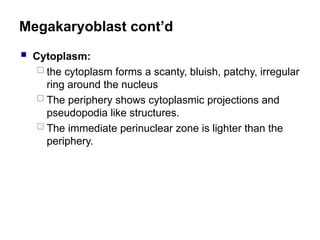 Megakaryoblast cont’d
 Cytoplasm:
 the cytoplasm forms a scanty, bluish, patchy, irregular
ring around the nucleus
 The periphery shows cytoplasmic projections and
pseudopodia like structures.
 The immediate perinuclear zone is lighter than the
periphery.
 