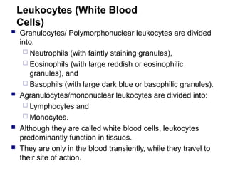 Leukocytes (White Blood
Cells)
 Granulocytes/ Polymorphonuclear leukocytes are divided
into:
 Neutrophils (with faintly staining granules),
 Eosinophils (with large reddish or eosinophilic
granules), and
 Basophils (with large dark blue or basophilic granules).
 Agranulocytes/mononuclear leukocytes are divided into:
 Lymphocytes and
 Monocytes.
 Although they are called white blood cells, leukocytes
predominantly function in tissues.
 They are only in the blood transiently, while they travel to
their site of action.
 