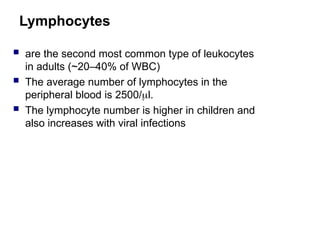 Lymphocytes
 are the second most common type of leukocytes
in adults (~20–40% of WBC)
 The average number of lymphocytes in the
peripheral blood is 2500/l.
 The lymphocyte number is higher in children and
also increases with viral infections
 