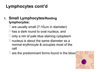 Lymphocytes cont’d
1. Small Lymphocytes/Resting
lymphocytes:
 are usually small (7-10m in diameter)
 has a dark round to oval nucleus, and
 only a rim of pale blue staining cytoplasm
 nucleus is about the same diameter as a
normal erythrocyte & occupies most of the
cell
 are the predominant forms found in the blood.
 
