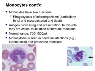 Monocytes cont’d
 Monocytes have two functions:
 Phagocytosis of microorganisms (particularly
fungi and mycobacteria) and debris
 Antigen processing and presentation. In this role,
they are critical in initiation of immune reactions
 Normal range: 700-1500/l.
 Monocytosis is seen in bacterial infections (e.g.,
tuberculosis) and protozoan infections.
 