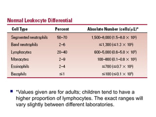  *Values given are for adults; children tend to have a
higher proportion of lymphocytes. The exact ranges will
vary slightly between different laboratories.
 