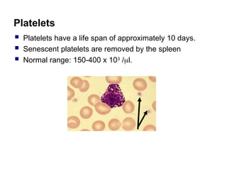 Platelets
 Platelets have a life span of approximately 10 days.
 Senescent platelets are removed by the spleen
 Normal range: 150-400 x 103
/l.
 