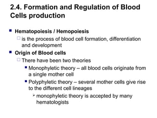 2.4. Formation and Regulation of Blood
Cells production
 Hematopoiesis / Hemopoiesis
 is the process of blood cell formation, differentiation
and development
 Origin of Blood cells
 There have been two theories
 Monophyletic theory – all blood cells originate from
a single mother cell
 Polyphyletic theory – several mother cells give rise
to the different cell lineages
 monophyletic theory is accepted by many
hematologists
 