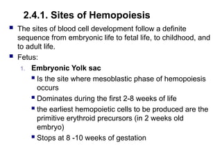 2.4.1. Sites of Hemopoiesis
 The sites of blood cell development follow a definite
sequence from embryonic life to fetal life, to childhood, and
to adult life.
 Fetus:
1. Embryonic Yolk sac
 Is the site where mesoblastic phase of hemopoiesis
occurs
 Dominates during the first 2-8 weeks of life
 the earliest hemopoietic cells to be produced are the
primitive erythroid precursors (in 2 weeks old
embryo)
 Stops at 8 -10 weeks of gestation
 
