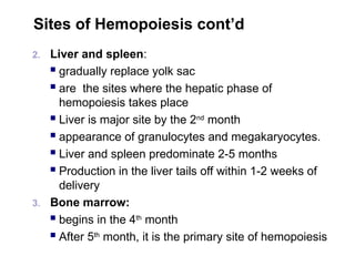 Sites of Hemopoiesis cont’d
2. Liver and spleen:
 gradually replace yolk sac
 are the sites where the hepatic phase of
hemopoiesis takes place
 Liver is major site by the 2nd
month
 appearance of granulocytes and megakaryocytes.
 Liver and spleen predominate 2-5 months
 Production in the liver tails off within 1-2 weeks of
delivery
3. Bone marrow:
 begins in the 4th
month
 After 5th
month, it is the primary site of hemopoiesis
 