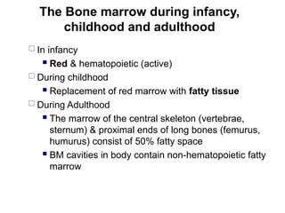 The Bone marrow during infancy,
childhood and adulthood
 In infancy
 Red & hematopoietic (active)
 During childhood
 Replacement of red marrow with fatty tissue
 During Adulthood
 The marrow of the central skeleton (vertebrae,
sternum) & proximal ends of long bones (femurus,
humurus) consist of 50% fatty space
 BM cavities in body contain non-hematopoietic fatty
marrow
 