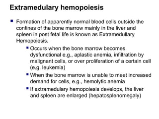 Extramedulary hemopoiesis
 Formation of apparently normal blood cells outside the
confines of the bone marrow mainly in the liver and
spleen in post fetal life is known as Extramedullary
Hemopoiesis.
 Occurs when the bone marrow becomes
dysfunctional e.g., aplastic anemia, infiltration by
malignant cells, or over proliferation of a certain cell
(e.g. leukemia)
 When the bone marrow is unable to meet increased
demand for cells, e.g., hemolytic anemia
 If extramedulary hemopoiesis develops, the liver
and spleen are enlarged (hepatosplenomegaly)
 