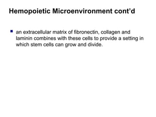 Hemopoietic Microenvironment cont’d
 an extracellular matrix of fibronectin, collagen and
laminin combines with these cells to provide a setting in
which stem cells can grow and divide.
 