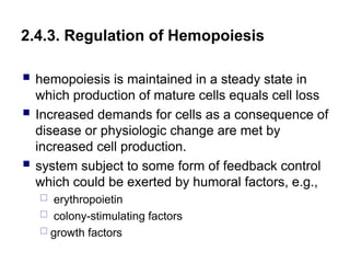 2.4.3. Regulation of Hemopoiesis
 hemopoiesis is maintained in a steady state in
which production of mature cells equals cell loss
 Increased demands for cells as a consequence of
disease or physiologic change are met by
increased cell production.
 system subject to some form of feedback control
which could be exerted by humoral factors, e.g.,
 erythropoietin
 colony-stimulating factors
 growth factors
 