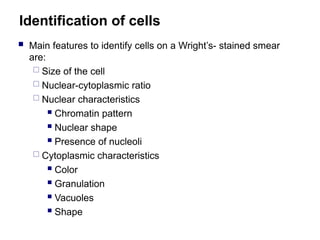 Identification of cells
 Main features to identify cells on a Wright’s- stained smear
are:
 Size of the cell
 Nuclear-cytoplasmic ratio
 Nuclear characteristics
 Chromatin pattern
 Nuclear shape
 Presence of nucleoli
 Cytoplasmic characteristics
 Color
 Granulation
 Vacuoles
 Shape
 