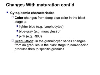 Changes With maturation cont’d
 Cytoplasmic characteristics
 Color changes from deep blue color in the blast
stage to:
 lighter blue (e.g. lymphocytes)
 blue-gray (e.g. moncytes) or
 pink (e.g. RBC)
 Granulation: in the granulocytic series changes
from no granules in the blast stage to non-specific
granules then to specific granules
 
