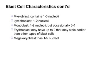 Blast Cell Characteristics cont’d
 Myeloblast: contains 1-5 nucleoli
 Lymphoblast: 1-2 nucleoli
 Monoblast: 1-2 nucleoli, but occasionally 3-4
 Erythroblast may have up to 2 that may stain darker
than other types of blast cells
 Megakaryoblast: has 1-5 nucleoli
 
