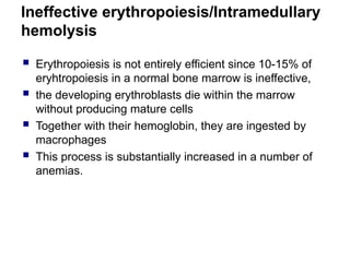 Ineffective erythropoiesis/Intramedullary
hemolysis
 Erythropoiesis is not entirely efficient since 10-15% of
eryhtropoiesis in a normal bone marrow is ineffective,
 the developing erythroblasts die within the marrow
without producing mature cells
 Together with their hemoglobin, they are ingested by
macrophages
 This process is substantially increased in a number of
anemias.
 